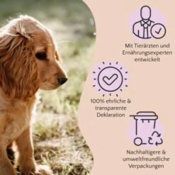 FAVLY Petfood PURE Bites Hirsch 360 G -Ruffwear Verkäufe 236dbc85f5fb75ec5fb4367bde1445e3087ffdcd 1474003 de DE 80624b888460a5c29f043365a19496292e44fd84TlIvR8