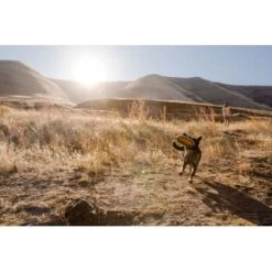 Ruffwear Hover Craft™ Spielzeug Orange -Ruffwear Verkäufe 23f3ce0fb188e4f5a253007adc90481d6747961b 1364297 de DE e44fe3627eb338195cfdd7c589598a8edb05def2xpzXS1