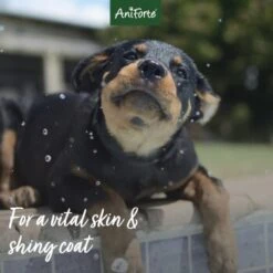 Aniforte Welpen Shampoo Aloe Vera 200ml -Ruffwear Verkäufe 24d06fb25fbbde7faf20913bac088bf6a89c27e4 1441193 de DE c896ce749721f4cfba0f719b91337abb758fb3f7kULxwC