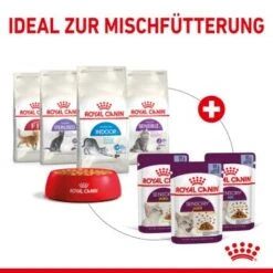ROYAL CANIN SENSORY Smell In Gelee Für Wählerische Katzen 12x85g -Ruffwear Verkäufe 25c7f2b0017090b05172a164b94d24299f626039 5b9b3776479c43ed4449b8634046c65b7d96c1fe