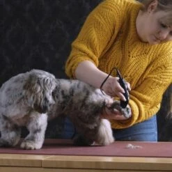 Moser Schermaschine REX MINI -Ruffwear Verkäufe 26311403a9d7b70c3de3d6d478c9b7979d52d818 8d6659a959561a0e293ec7332a89fd631110efed