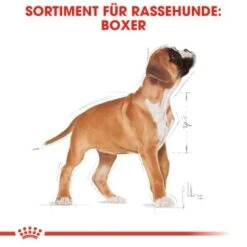 ROYAL CANIN Boxer Puppy 12 Kg -Ruffwear Verkäufe 26b8108fe7f848d5514f54a6ebebe445e9749634 bc544cb1464daff2fcccab10e7c9f1ae73a4f2d1