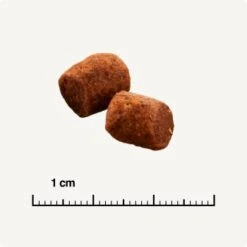 SELECT GOLD Indoor Adult Geflügel & Reis 7 Kg -Ruffwear Verkäufe 26d8ffb703c60b41462e69b68e028f8315fee50f 1243348 de DE 6