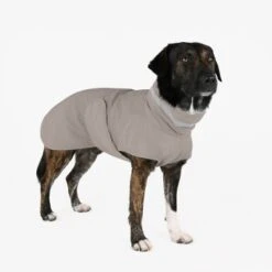 THE DOG IDEA Regenmantel Kayden Greige XXXS -Ruffwear Verkäufe 26e94b2819d39eebebb4da2e237a239e28fae7d4 1681330 de DE 05ad4e02821b193e1ef55613cb4c06a88e5f03eeC7wae5