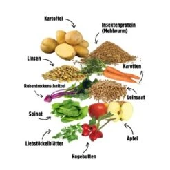 Eat Small EatSmall 10kg Mini Balance Trockenfutter 12 Eat Small EatSmall 10kg Mini Balance Trockenfutter -Ruffwear Verkäufe 2710942cdef62451695f011f9f413ecc469d6d20 1450724 de DE 6283572904307389a0bc941157f085e96ce5449bOItVGO