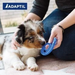 ADAPTIL Junior Halsband Anti Stress Erziehungshalsband -Ruffwear Verkäufe 281050210313953b97368cab0756aeb1543af3e5 1287044 2