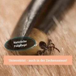 BeG Buddy Fellspray Zecke -Ruffwear Verkäufe 297119792bee87c54c4080010b8d6149223d300c 1457254 de DE b0426d8711049b0aafb9b17aaa93a89672536d279Kmo8x