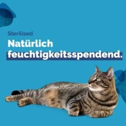 Almo Nature Almo Holistic Sterilised 30x70g Mit Huhn -Ruffwear Verkäufe 2a74214638ef27d415d1f494384f1208b23d2819 1479695 4 de