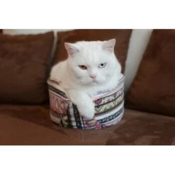 Canadian Cat Company Katzenschiff LUNA -Ruffwear Verkäufe 2a794931f9263820d298c92486fc08c7b5fe3a35 1412669 de DE 46780a4b5da8fe052e5be00462eb02991658c41f2ZgeMs