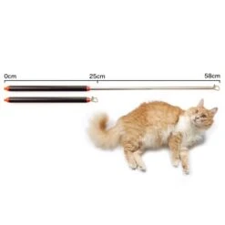 Schlitzohr Stabile Katzenangel Arnold -Ruffwear Verkäufe 2b03aaa8061d454c3b132f3d29075b579f022315 1484671 de DE 4db6a969e0582cf4b987acff93cb66c6c6149da6OAB1hx