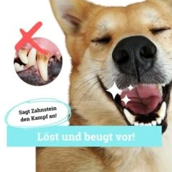 BeG Buddy Zahn Weiß Dental Spray, Zahnpflege & Maulhygiene Hund -Ruffwear Verkäufe 2b26d8c9897450ebcdc3208b54321074a39fd8e8 1457255 de DE d036d3de3fb2bf618dcbd8071c7342bd7ffedc2f5CGqW6