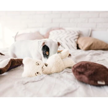 Freudentier Nachhaltiges Hundespielzeug Daniel 2 Freudentier Nachhaltiges Hundespielzeug Daniel – Bild 2