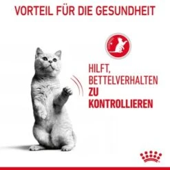 ROYAL CANIN Appetite Control Care 12 X 85 G -Ruffwear Verkäufe 2baff52405d772a15eb8921bf3aeded5540de702 1344684 1