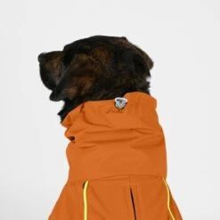 THE DOG IDEA Regenmantel Duke Orange XXXS -Ruffwear Verkäufe 2c464c8150423d80739b1409ce956e12c7928827 1473000 de DE 974a3540330c77e50b2a59dc10e705f1dbfc6716V9PfXa