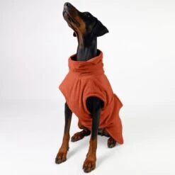THE DOG IDEA Bademantel Every Steinrot XXXS -Ruffwear Verkäufe 2e931aa465dfb011549016260aaf15af0752cd70 1473054 de DE 15dccd37b84bb897625a5dad636eee6fc7a01d66znpQXe