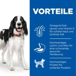 Hill's Science Plan Medium Adult 1-6 Lamm & Reis 18 Kg -Ruffwear Verkäufe 2eb5e8e2e65a629fb02a740e6a3d088b7c2bb774 52742025865 4