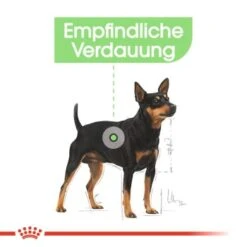 ROYAL CANIN Digestive Care Mini 8 Kg -Ruffwear Verkäufe 2f44f806b768c0d4181b42955c2678d2b1c910f5 6f99c8b5c64093b4e59b1ecd7ada5ca40e016ce2