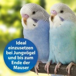 Quiko Plus 400 G: Extra Proteine Für Jungvögel -Ruffwear Verkäufe 3190f3828e35083694537fdd840250512177f97d 1386524 de DE a58e247c1fb3092732f92fc759d1dabd3a4811c5GIUhYl