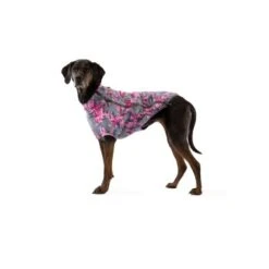 Ruffwear Climate Changer™ Fleece-Jacke Für Hunde Lila/ Grau XS 8 Ruffwear Climate Changer™ Fleece-Jacke Für Hunde Lila/ Grau XS -Ruffwear Verkäufe 31d08c48d82e56fa988a8efaad00ce115bf58a1e 1369648 de DE 0f7eaefedef9dc647cc2252d60c10845d7c68c4e58IpMU
