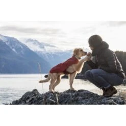 Ruffwear Overcoat™ Hundejacke Rot M 12 Ruffwear Overcoat™ Hundejacke Rot M -Ruffwear Verkäufe 32b81091541e421621a809b75c62062d90eca320 1369977 de DE e6611e4bd31113b7d836455a75813df21f681f8eLLYoOv