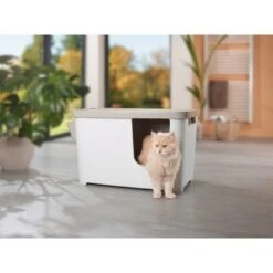 MORE FOR Katzentoilette XXL Titan -Ruffwear Verkäufe 331a65ecbdbda6a54304894f23caf93293414f9a 41a7dcb3b92b8da7531785b268f381c1b25bbf04