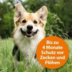 Ardap Zecken- & Floh-Halsband Für Hunde M -Ruffwear Verkäufe 332a6969297a8d179e0515a1ef99e573ef0595ec 1221081 de DE 97ec993093b270e73fcc9e119afd15179c371c32egMWJe