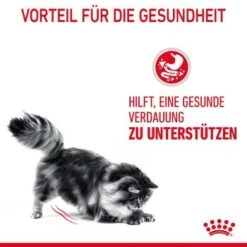 ROYAL CANIN Digestive Care 10 Kg -Ruffwear Verkäufe 33836b78e4dfe5d72c6cf6742ac3f6af2f72a25c 1084985 4