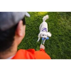 Ruffwear Gourdo™ Spielzeug S Grün -Ruffwear Verkäufe 340d5a3cda4bb7c7215d03f2d69aea1fb532027d 1639795 de DE dcb292407c796db89093f35e704145b6700aa2deFjWC0G