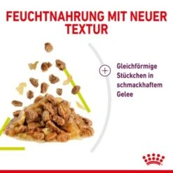 ROYAL CANIN SENSORY Smell In Gelee Für Wählerische Katzen 12x85g -Ruffwear Verkäufe 3469e2789c9f64bff26f87bbac39ba0a4ed440ea 45f33cf5dbb691236fc67f7b11a07842abb35bb4