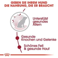 ROYAL CANIN Medium Ageing 10+ 15 Kg -Ruffwear Verkäufe 35439b8991bb238cb34fa70ccac51c3234fae357 36aa1650a1aa302f839e41250cfe840f4a638243