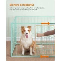 FEANDREA Welpenauslauf 4-teilig Schwarz Mintgrün -Ruffwear Verkäufe 35628eced21c5b790a038ff766d6461fd7692ef2 1500915 de DE 85cc3af176bad61013c5779ea5a3c5652966689aKZhajB