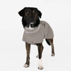 THE DOG IDEA Regenmantel Kayden Greige XXXS -Ruffwear Verkäufe 388f18a16f3ef46e42429e3e6998bdcc5f13c564 1681330 de DE d791f38b8115cb21794f155838f6af392f1bfe1bmdkikr