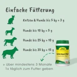Fell & Haut Vital 150 G -Ruffwear Verkäufe 38c68593513079a7713c83765665776b6f7e8e43 1049905 de DE b392dfcb5724853191f2ee9344e776b43a7c0fd4K5nTn9