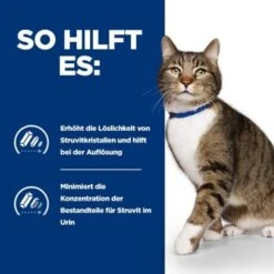 Hill's Prescription Diet Urinary Care S/d Mit Huhn 1,5 Kg -Ruffwear Verkäufe 392ce5734d13ee4a712bfb13208ac014ac0005fb 678265bf0ed7f17122d202c6fb37e8f7a427b934