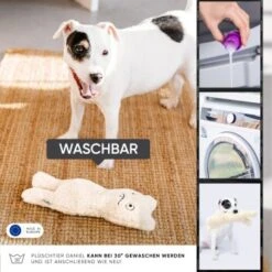 Freudentier Nachhaltiges Hundespielzeug Daniel 9 Freudentier Nachhaltiges Hundespielzeug Daniel -Ruffwear Verkäufe 399eb762da5db839e1d54b11a980f1adc24ffa3a 1408970 de DE 4fae29de579b316485a3de702f2c6d8ee3ac7b4f8TlZcj