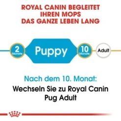 ROYAL CANIN Mops Puppy 1,5 Kg -Ruffwear Verkäufe 3af85b5d68e2a2d838baf46d348bcc6f5c8cb3c0 9dd5ef32b5081e96ebcb60ff0f9e0f454f14f3ae