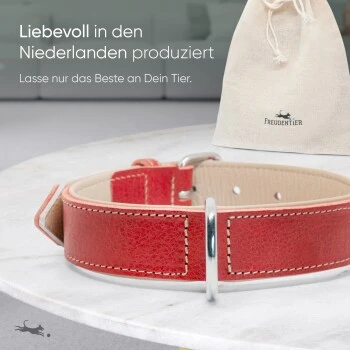 Freudentier Gefüttertes Halsband Aus Leder Rot L 4 Freudentier Gefüttertes Halsband Aus Leder Rot L – Bild 4