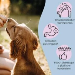 FAVLY Petfood Nature Cookies Pute 360 G 10 FAVLY Petfood Nature Cookies Pute 360 G -Ruffwear Verkäufe 3c4584472c13d10f5e19d1e9ef96341ca6dec3b2 1474002 de DE 301bd8d5aa99f57312b9f6bf9f09f0b879ce5f08YRbuxr