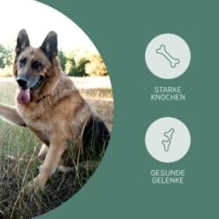 Mammaly Happy Hips 110g -Ruffwear Verkäufe 3c8bff51a0475eda30226950bbfaf91b8c4d5bf4 1472886 1 3