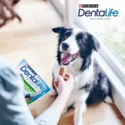 DentaLife PURINA Hunde Zahnpflege-Snacks Großpackung Medium, 84x -Ruffwear Verkäufe 3d22bf74a99660236ce1548620fac8aa3ac8818f 7dac1d18ca011066644ad899fee9fa3bcb5974f5