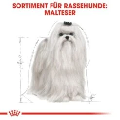 ROYAL CANIN Maltese Adult 1,5 Kg 1,5 Kg -Ruffwear Verkäufe 3eeb7f69af147bc5f04c404f6669c7f0a526e99c 337199db195a0656d970493cf83194fff6f65266
