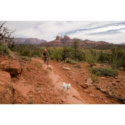 Ruffwear Swamp Cooler Zip™ Kühlweste Für Hunde Pink XL -Ruffwear Verkäufe 3f53abbb449b533ae19bdcc983422a810c1a6523 1639652 de DE 69e04235fc73e7ad617b0a7c576e77147e0d0f9aiqnSME