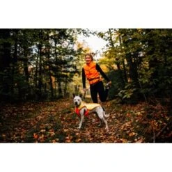 Ruffwear Lumenglow™ High-Vis Hundejacke Orange XL -Ruffwear Verkäufe 40663366cb362acd2f222531a6c489c5dd028940 1378153 de DE 6ea16c8681e07ff1404b1bde8c0b1b4ddb6fa478XOeqLy