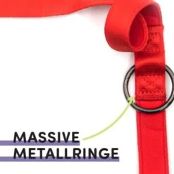 STUCH Hundeleine - Führleine - Medium Rot 9 STUCH Hundeleine - Führleine - Medium Rot -Ruffwear Verkäufe 417b667e17cc878e03d99935a0455feb62c1f5b9 1399118 de DE 95ade165f5933b21f71491f3eeb1769591b52c61Sn9mqZ