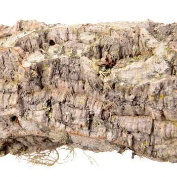 HappyBird Sitzstange Natur Kork L 6 HappyBird Sitzstange Natur Kork L – Bild 6