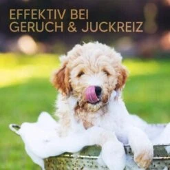Pawlie's Welpenshampoo 11 Pawlie's Welpenshampoo -Ruffwear Verkäufe 42f9c58257fb2002e5c33c2d81bd829c9adeb1cc 1626204 de DE 8b17d3990cf88ea437c76c60b6848183bc9636a5a44ihJ