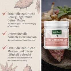 Aniforte 4in1 Complete Cat 60g -Ruffwear Verkäufe 433174568e18224fd341b5ca349c776d85d96ab2 1332844 de DE 0aa93cc915c5d5bb812b052b88179a1f5f51f297zDGJEt