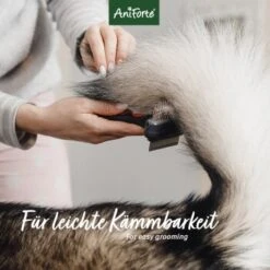 Aniforte Pflegespray Kokos Fellharmonie 200 Ml -Ruffwear Verkäufe 439a781d2e4112eccb3d9c060e6b47df8bacbc70 1419045 de DE 0e8e4b463cb1cda232cef1a2b76d36ca72baeaa1SxHMNi