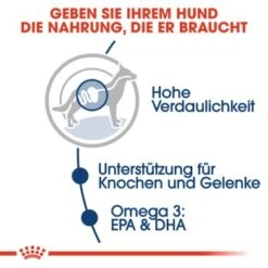 ROYAL CANIN Maxi Adult 10x140g -Ruffwear Verkäufe 440b23de4c128b8ae1977a24bcd97a26b0177694 704c1242d80d157ff6726c66cf899e61e070edef