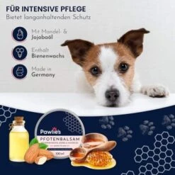 Pawlie's Pawlie’s Pfotenpflege Balsam 100ml -Ruffwear Verkäufe 4414e72f07d787db12a69fedf5823afe48e9ba64 1626196 de DE 4365dffd6d422f328ede6af1afc9d14128ef1417O2b3OO